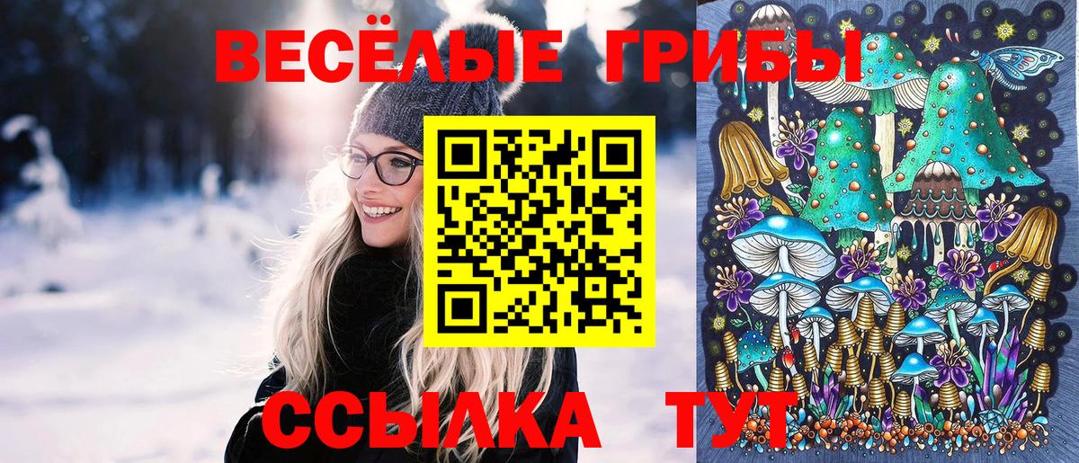 Кострома  Псилоцибиновые грибы Psilocybine cubensis  Псилоцибиновые грибы Psilocybe  Вход с VPN 